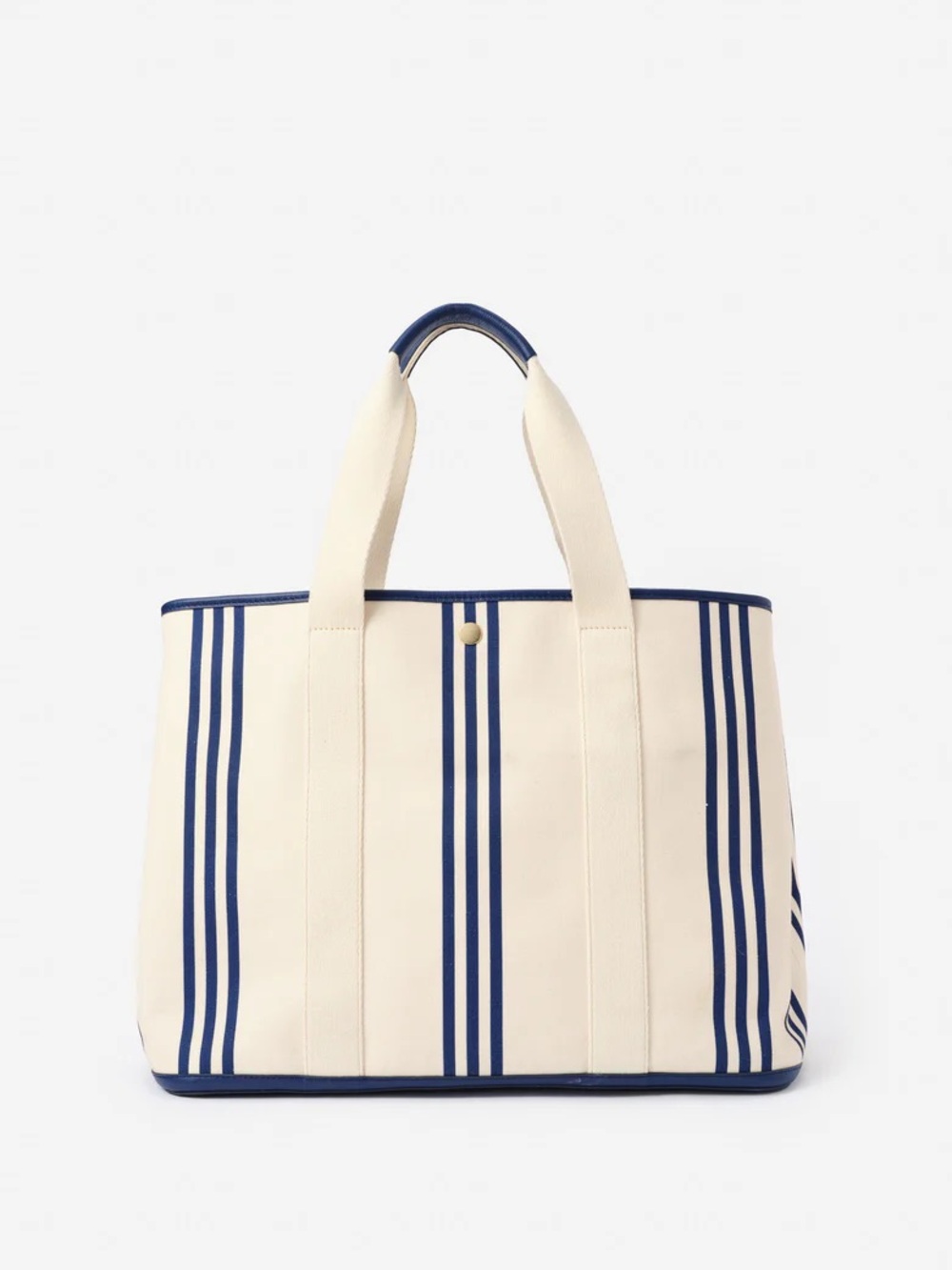 J.Mclaughing Alma Canvas Tote in Stripe